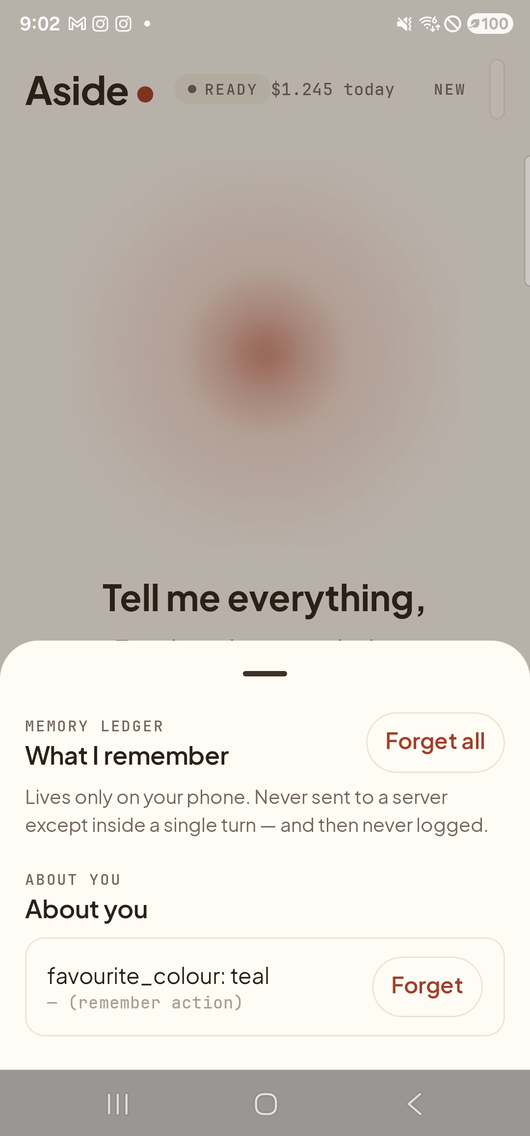 The Aside Memory tab opened as a bottom sheet over the dimmed main screen. An eyebrow label reads ‘MEMORY LEDGER’; below it the heading ‘What I remember’. To the right of the heading is a clay-bordered ‘Forget all’ button. A small line of body copy reads ‘Lives only on your phone. Never sent to a server except inside a single turn — and then never logged.’. Below that, an eyebrow ‘ABOUT YOU’ and heading ‘About you’, followed by one row showing ‘favorite_color: teal’ in serif type with a small caption ‘— (remember action)’ underneath, and a ‘Forget’ button on the right.
